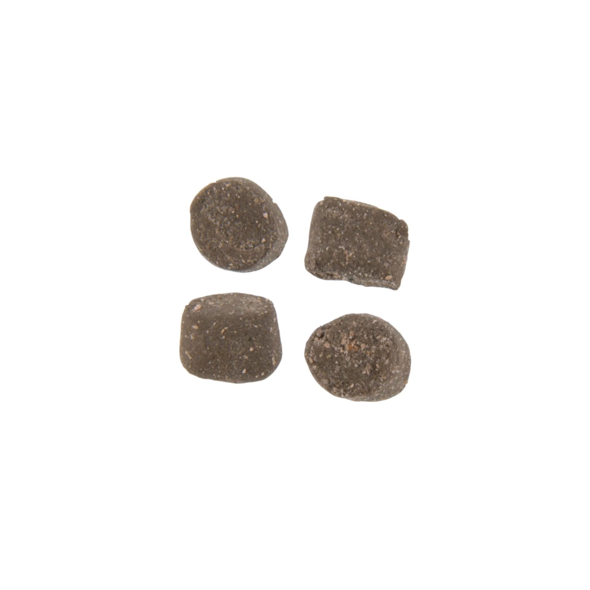 PowerBait® Trout Nuggets