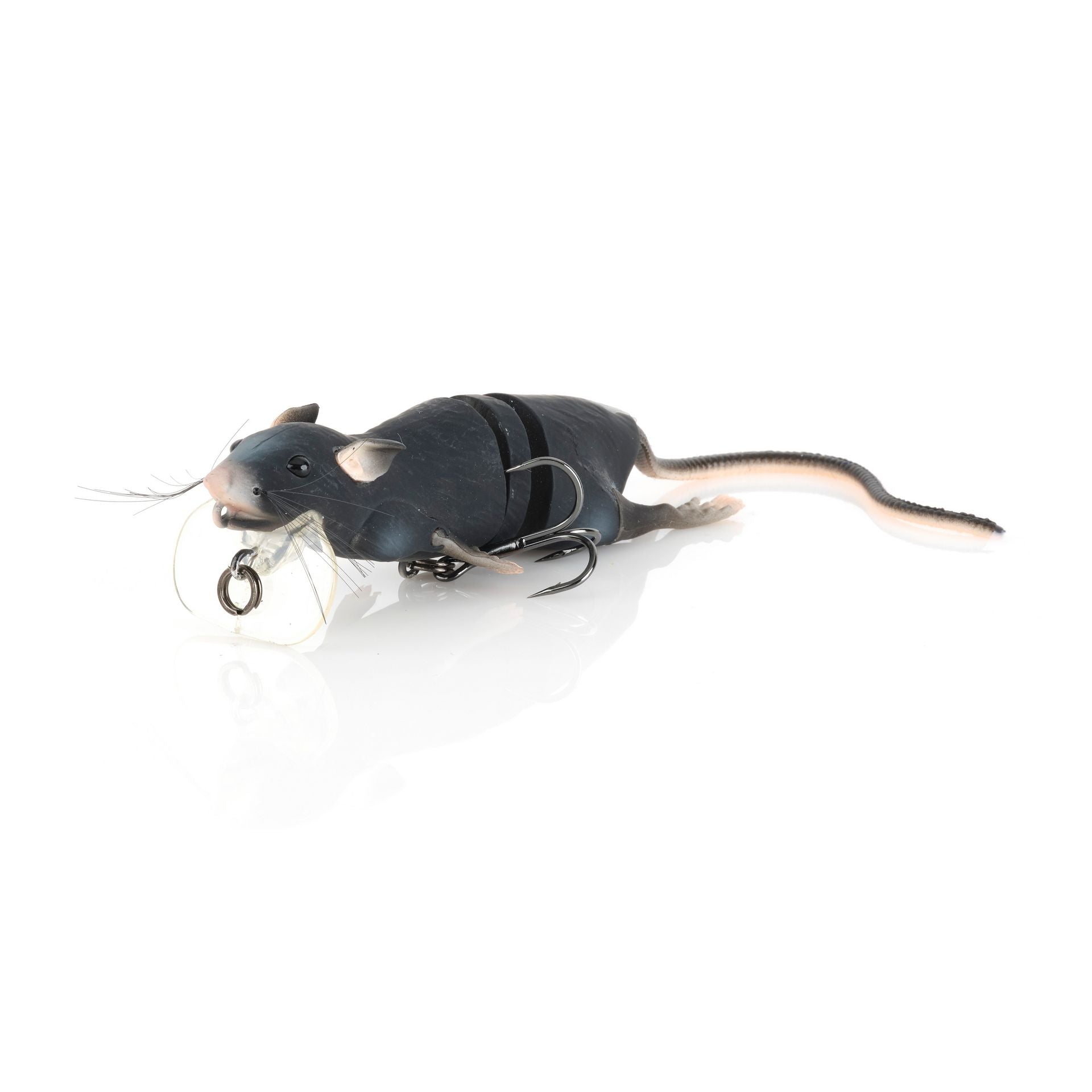3D Rat