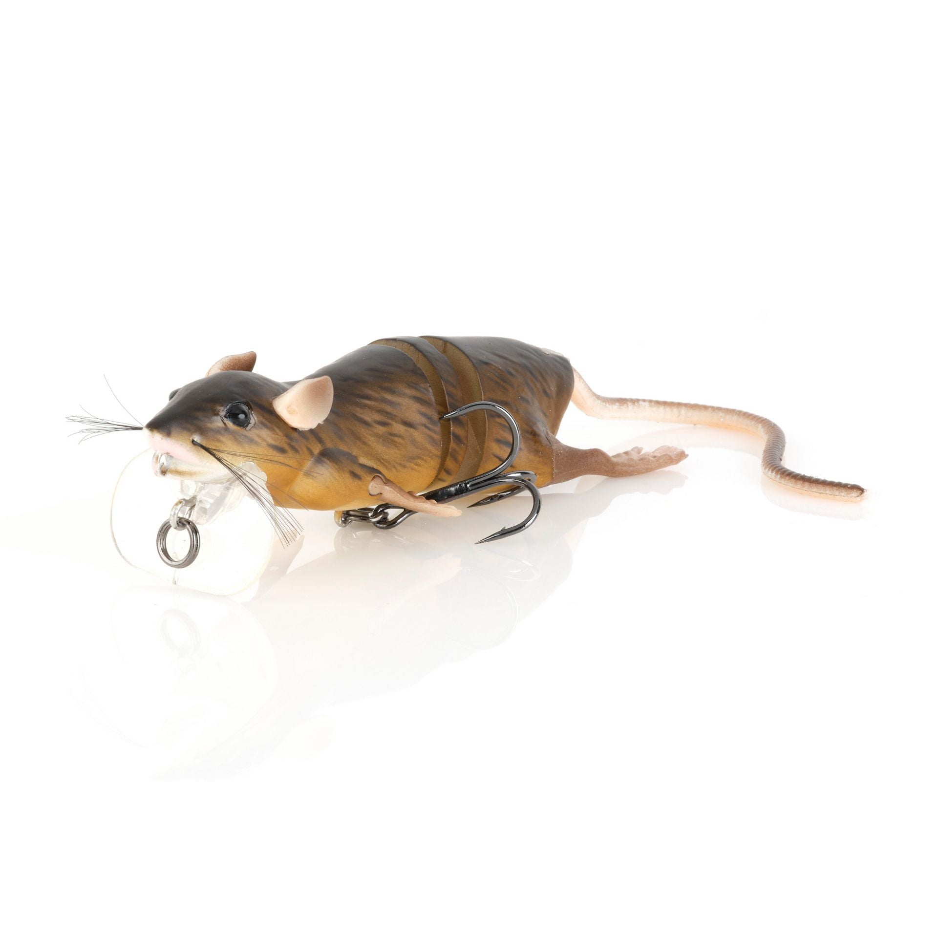 3D Rat