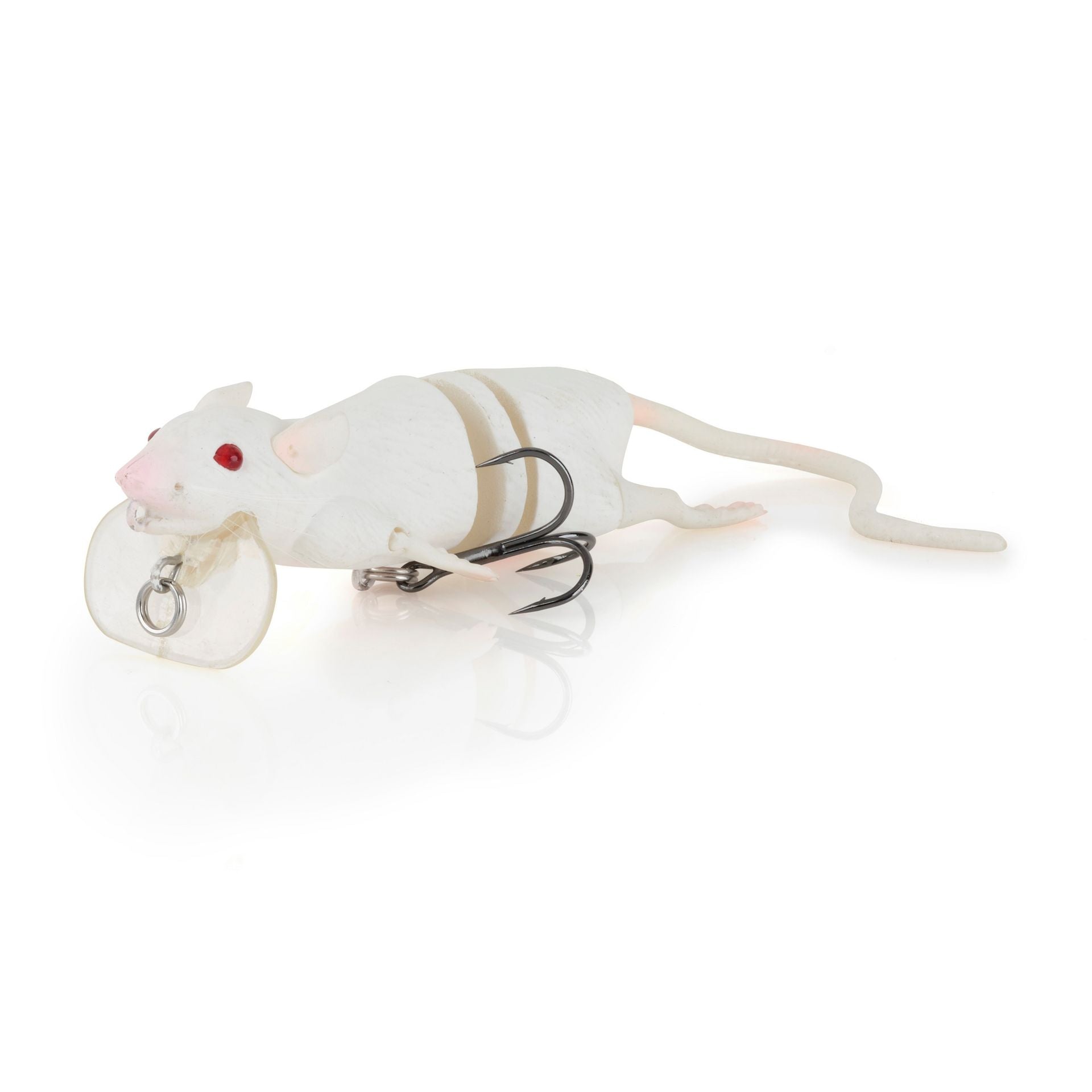3D Rat