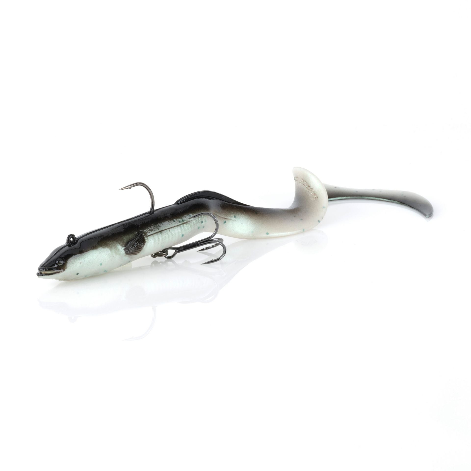 3D Real Eel