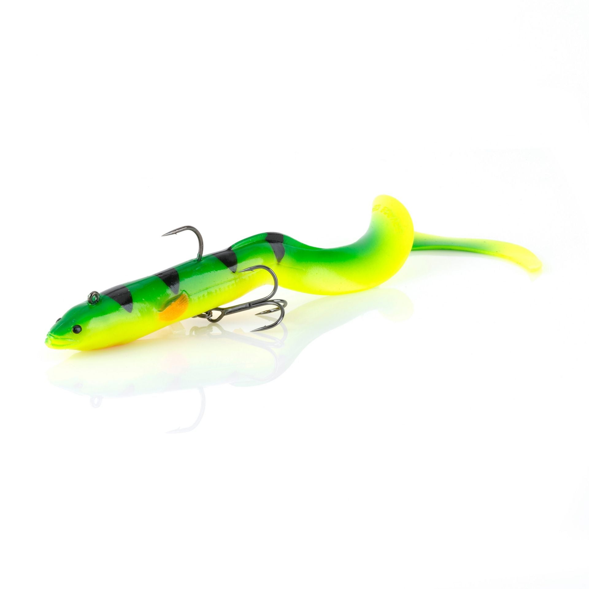 3D Real Eel