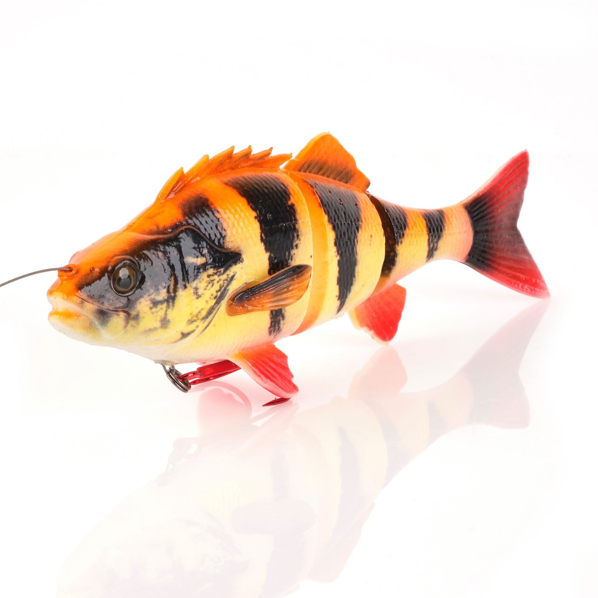 4D Yellow Perch