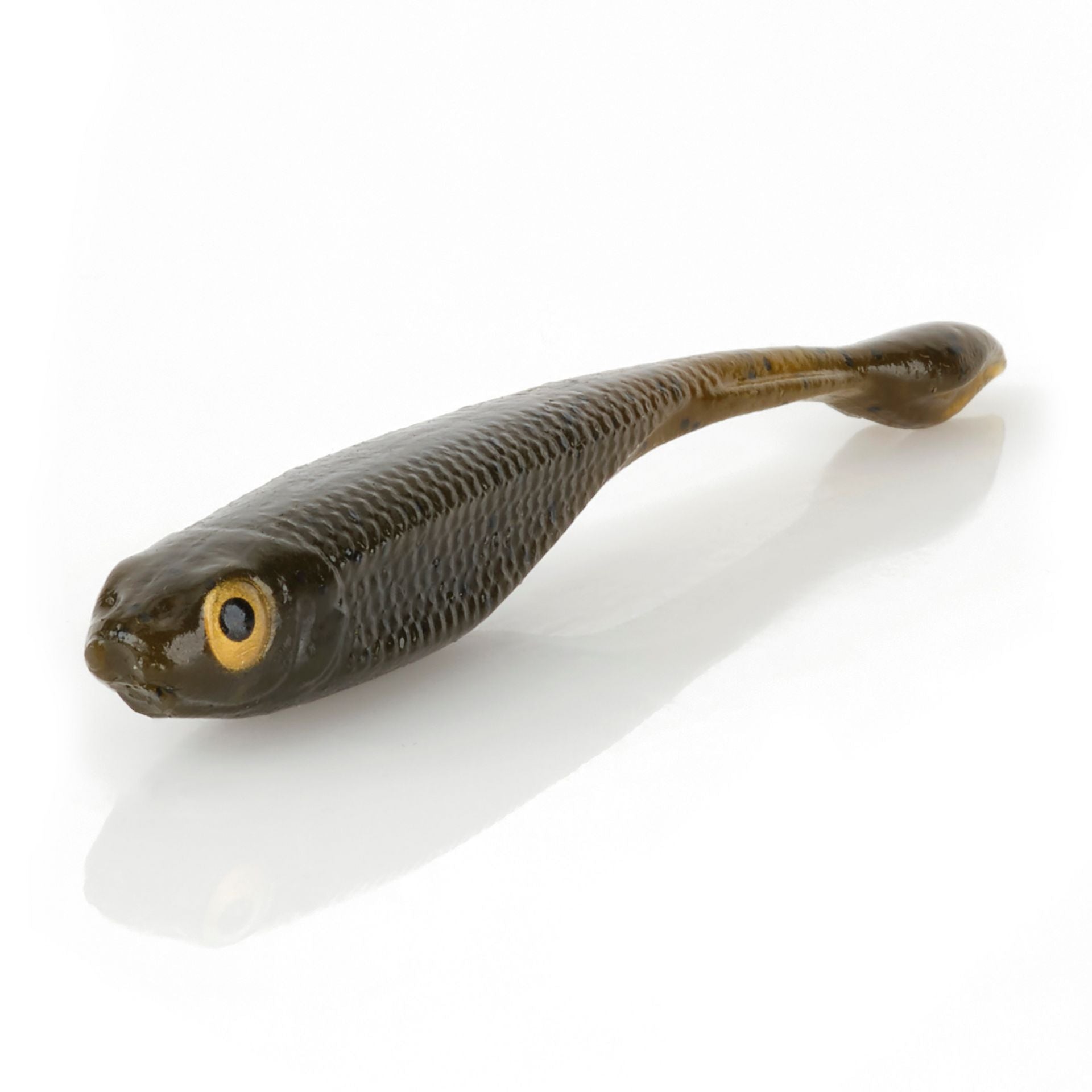 DS Minnow